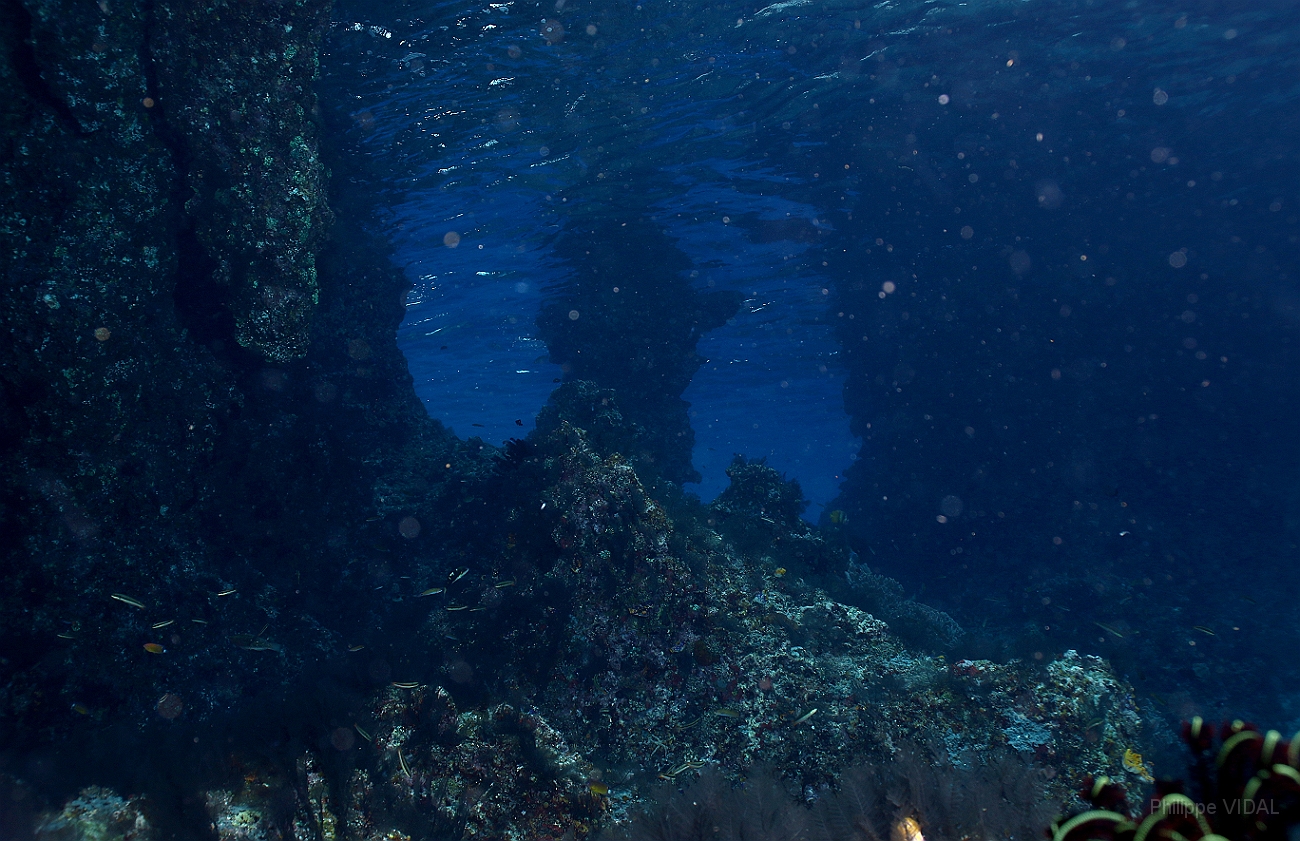 Raja Ampat 2016 - Corail - Boo Windows - IMG_4993_rc.jpg